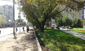 Слева – будущие парковочные места, справа – Народный парк на ул. Люсиновская