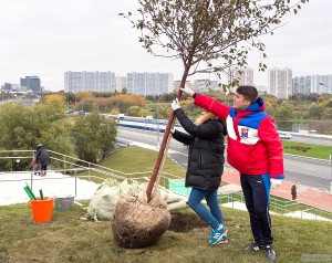 Завтра "Активные граждане" Москвы высадят деревья на центральных улицах