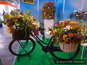 Южный округ входит в тройку лидеров по числу цветочных магазинов в Москве