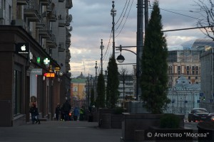 На портале «Активный гражданин» москвичи поддержали высаживание деревьев в кадках на улицах города