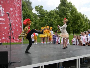Фестиваль состоялся в музее-заповеднике "Царицыно"