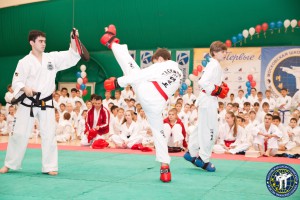 Мало кто знает, что в Южном округе находится одна из лучших школ восточных единоборств. С 1994 года она носит звание абсолютного чемпиона столицы по корейскому боевому искусству тхэквондо.
