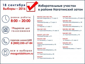 инфографика выборы_НЗ