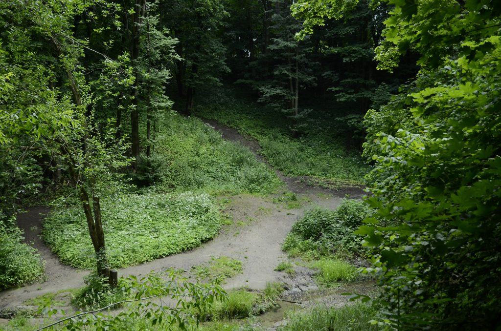 Активисты «Движения Первых» из школы №1770 приняли участие в туристическом мероприятии. Фото: Анна Быкова, «Вечерняя Москва»