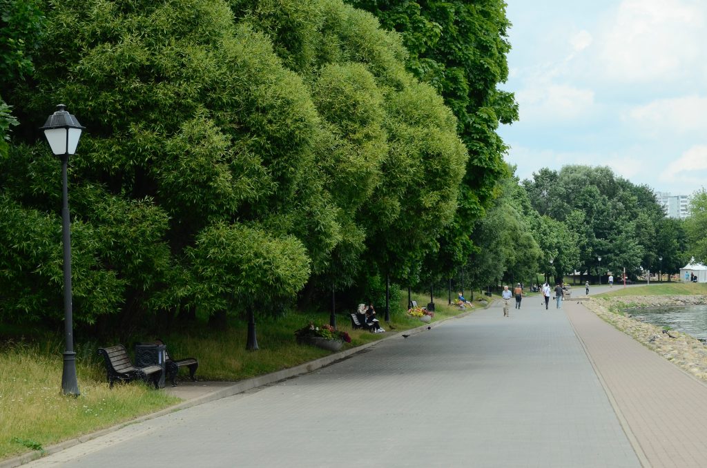 Танцевальные мастер-классы пройдут в музее-заповеднике «Коломенское». Фото: Анна Быкова, «Вечерняя Москва»