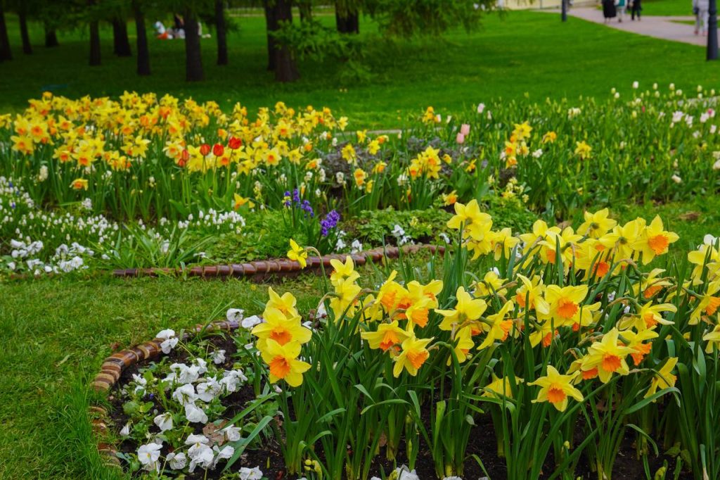 Москвичам предложили выбрать название для набережной в «Коломенском» в проекте «Активный гражданин». Фото: Ксения Догонашева, «Вечерняя Москва»