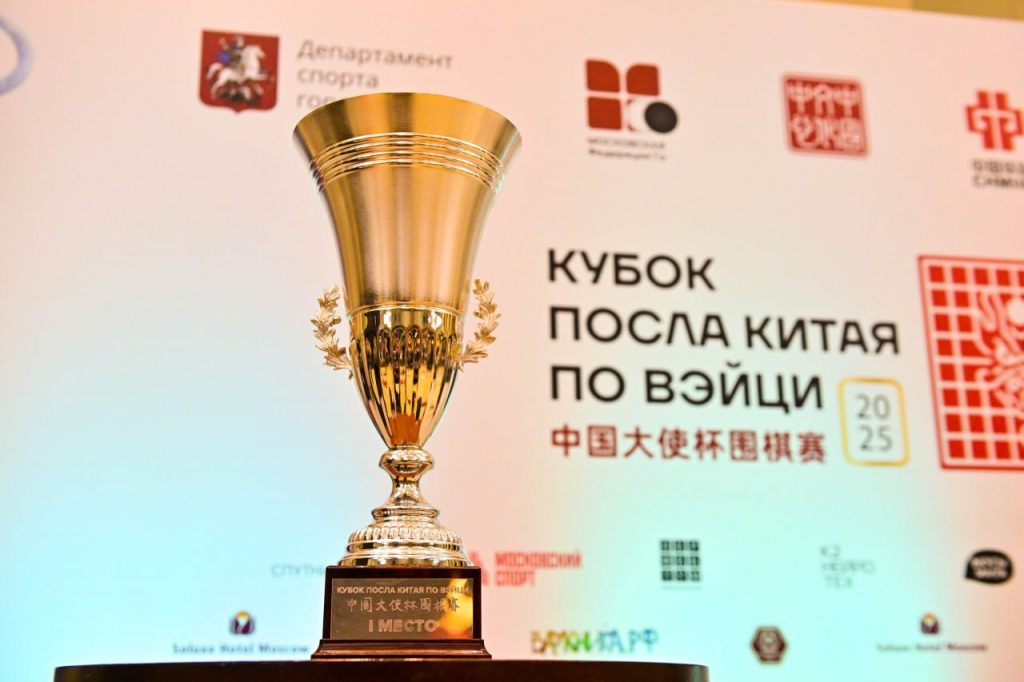 Более 300 игроков приняли участие в Кубке посла Китая по Вэйци. Фото: Сергей Киселев, Агентство городских новостей «Москва»