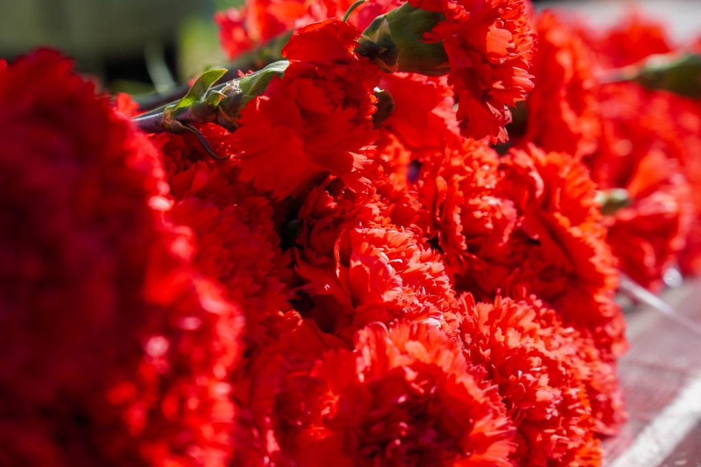 Мемориально-патронатная акция пройдет в районе Нагатинский Затон. Фото: Ксения Догонашева, «Вечерняя Москва»