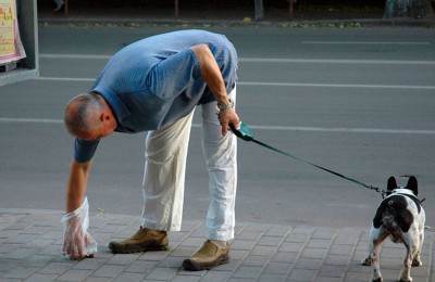 На портале «Активный гражданин» запущен опрос о том, как заставить москвичей убирать за своими питомцами на улицах