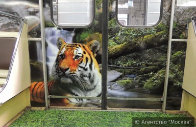 Один из составов столичного метро украсили дальневосточный леопард и амурский тигр