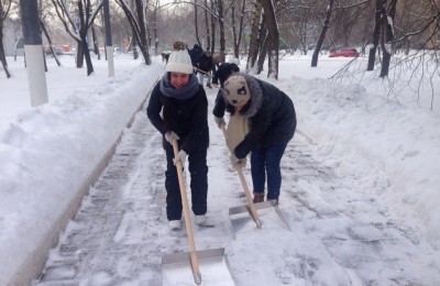 Активисты молодежной палаты помогли очистить от снега территорию Нагатинского затона