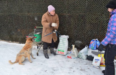 Сотрудники «Симоновки» собрали гуманитарную помощь для животных из приюта «Эко-Бирюлево»