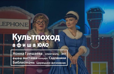 «Культпоход»: семейный фотопикник, спектакль с Нонной Гришаевой и всероссийская акция «Библионочь – 2016» пройдут в ЮАО
