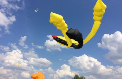 Фестиваль воздушных змеев «Пестрое небо» организовали в музее-заповеднике «Царицыно»