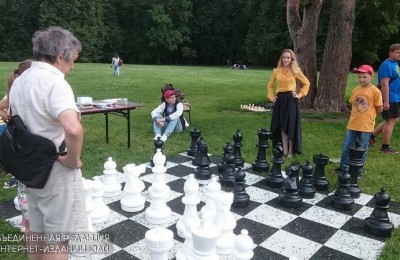 В музее-заповеднике «Царицыно» прошел шахматный пикник