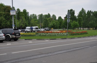 Бульвар на проспекте Андропова благоустроят по желанию «активных граждан»