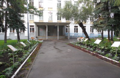 В школах и детских садах Москвы могут появиться «зеленые уголки»