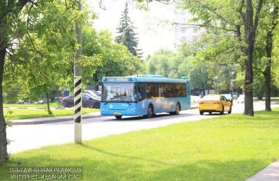 На ярмарку меда в Коломенском можно доехать на бесплатном автобусе