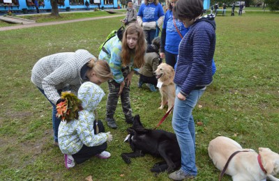Очередная выставка собак прошла при поддержке «Симоновки»