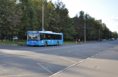 В новую сеть «Магистраль» вошел автобус №156