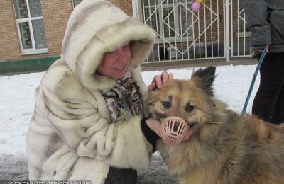 Вакцинация домашних питомцев в ЮАО
