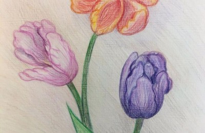 Картина «Тюльпаны» Анастасии Трошиной