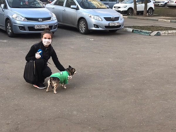 ЕР, актуалка, 3103