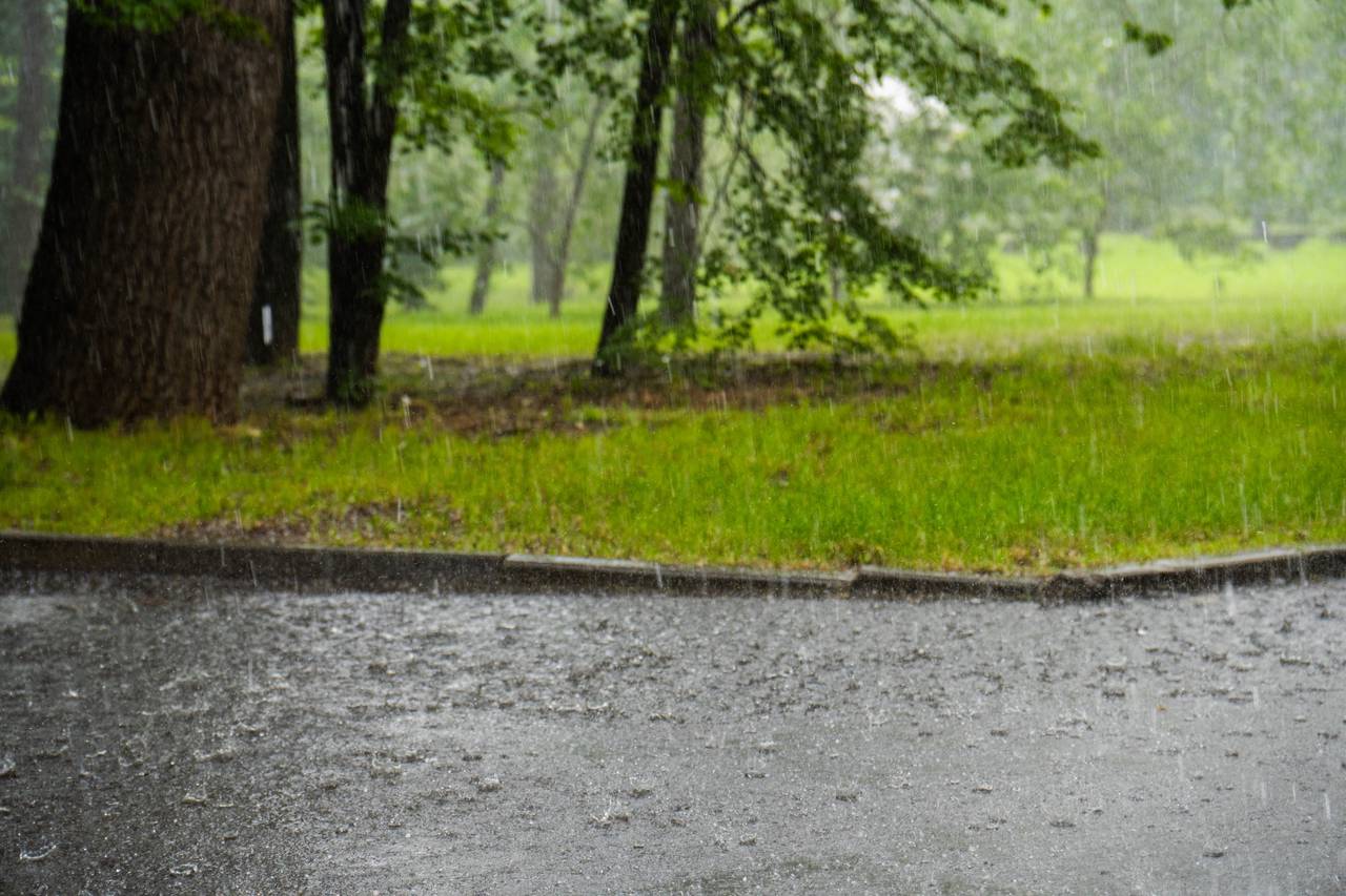Пик непогоды: Москву ждут сильные дожди. Фото: Ксения Догонашева, «Вечерняя Москва»